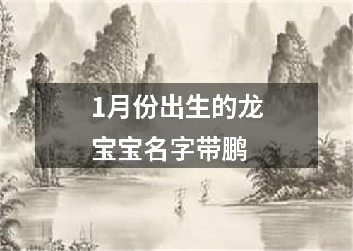 1月份出生的龙宝宝名字带鹏