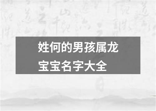 姓何的男孩属龙宝宝名字大全