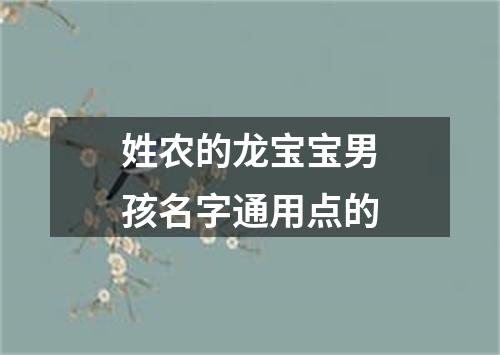 姓农的龙宝宝男孩名字通用点的