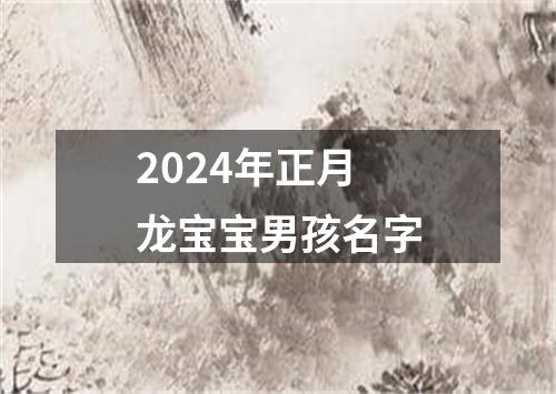 2024年正月龙宝宝男孩名字