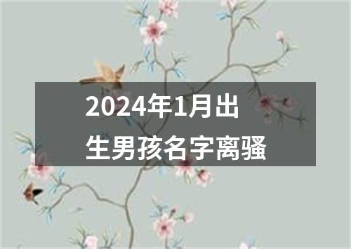 2024年1月出生男孩名字离骚