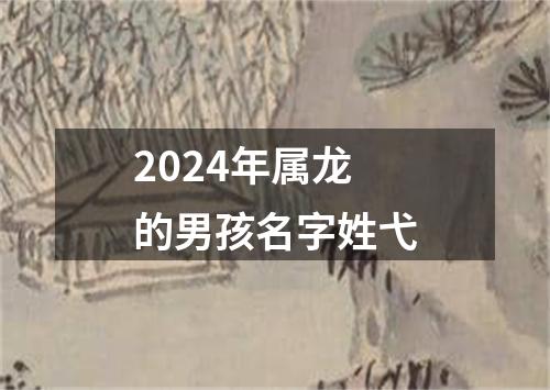 2024年属龙的男孩名字姓弋