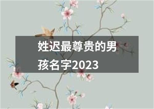 姓迟最尊贵的男孩名字2023