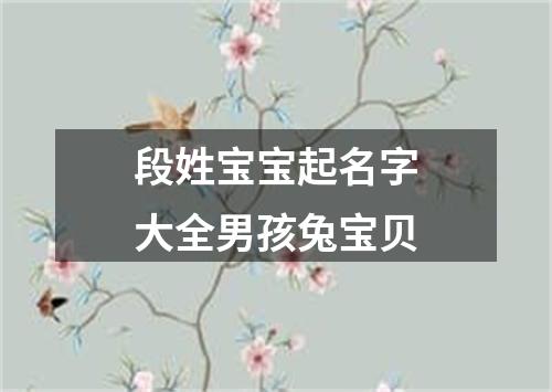 段姓宝宝起名字大全男孩兔宝贝