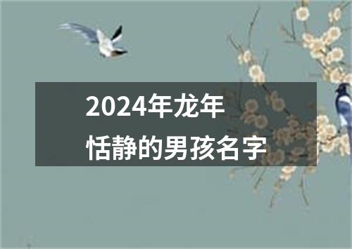 2024年龙年恬静的男孩名字