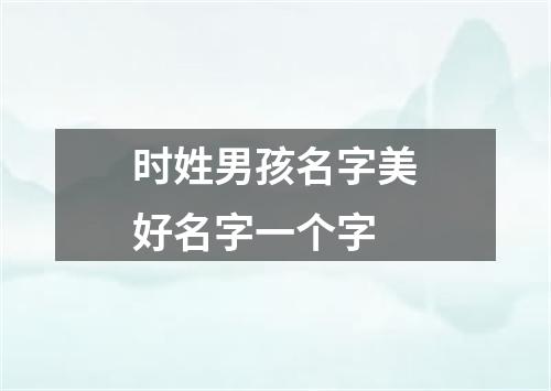 时姓男孩名字美好名字一个字