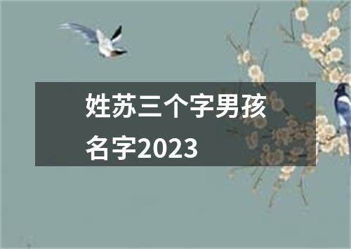 姓苏三个字男孩名字2023