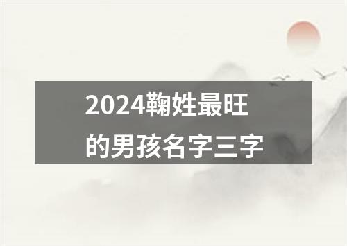 2024鞠姓最旺的男孩名字三字