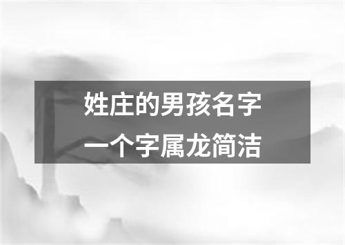 姓庄的男孩名字一个字属龙简洁