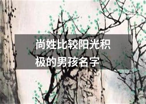 尚姓比较阳光积极的男孩名字