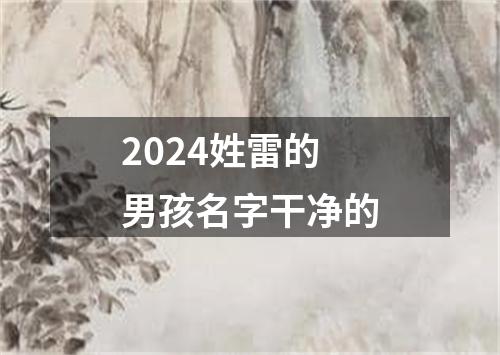 2024姓雷的男孩名字干净的