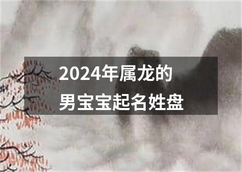 2024年属龙的男宝宝起名姓盘