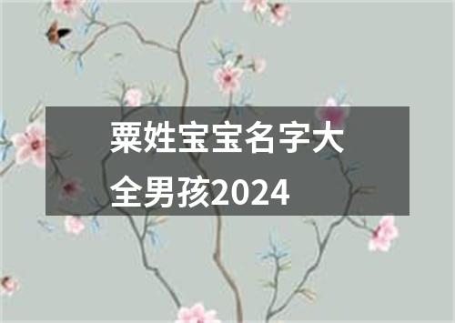 粟姓宝宝名字大全男孩2024