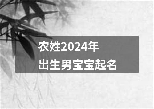 农姓2024年出生男宝宝起名