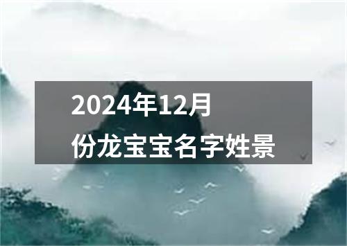 2024年12月份龙宝宝名字姓景