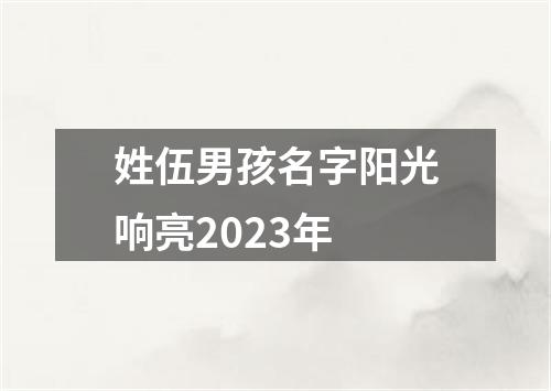 姓伍男孩名字阳光响亮2023年