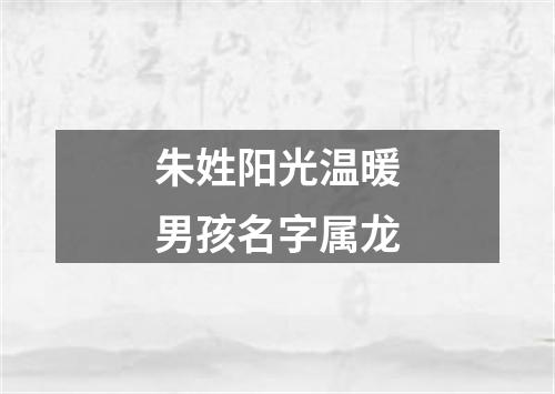 朱姓阳光温暖男孩名字属龙