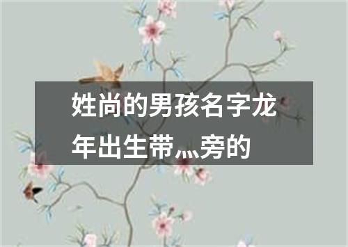 姓尚的男孩名字龙年出生带灬旁的