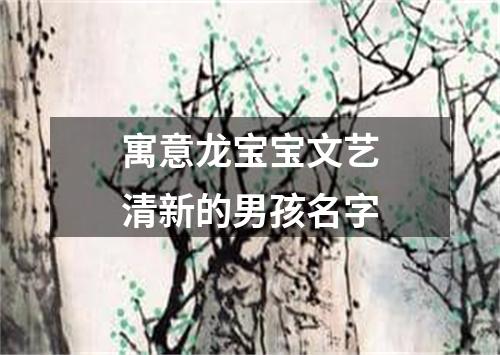 寓意龙宝宝文艺清新的男孩名字