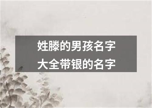 姓滕的男孩名字大全带银的名字