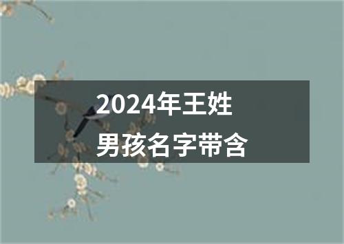 2024年王姓男孩名字带含