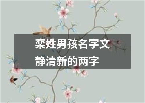 栾姓男孩名字文静清新的两字