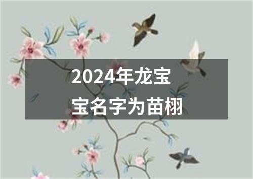 2024年龙宝宝名字为苗栩