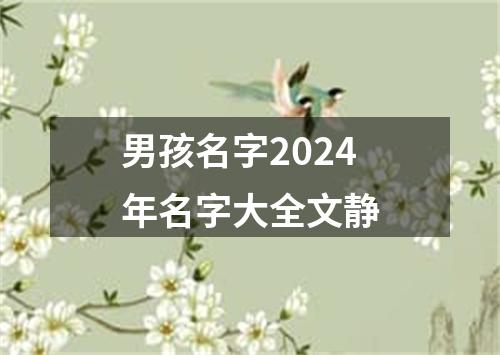 男孩名字2024年名字大全文静