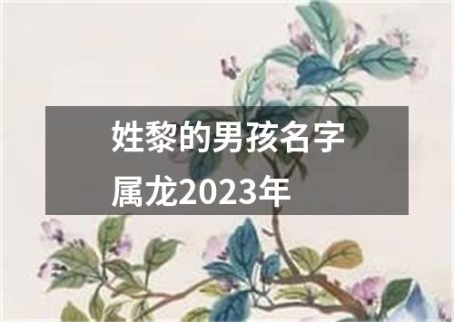 姓黎的男孩名字属龙2023年