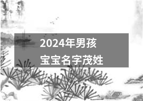 2024年男孩宝宝名字茂姓