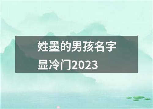 姓墨的男孩名字显冷门2023