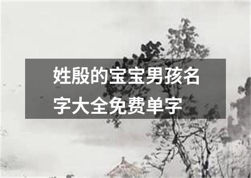 姓殷的宝宝男孩名字大全免费单字