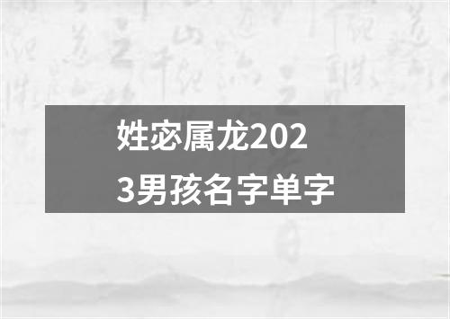 姓宓属龙2023男孩名字单字