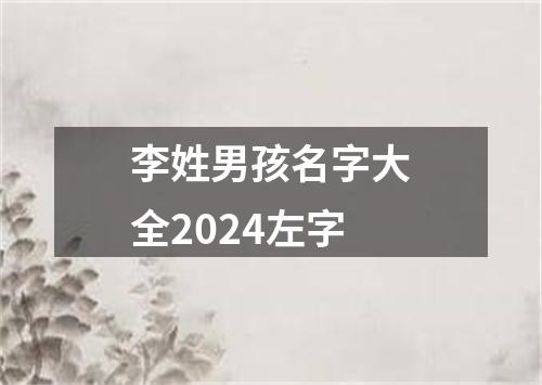 李姓男孩名字大全2024左字