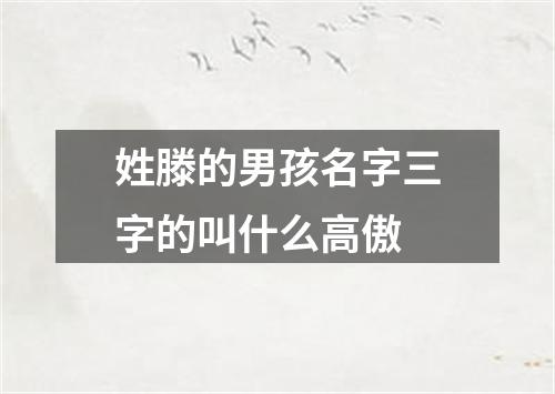 姓滕的男孩名字三字的叫什么高傲