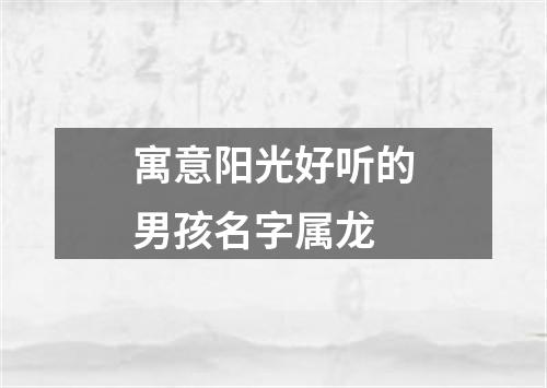 寓意阳光好听的男孩名字属龙