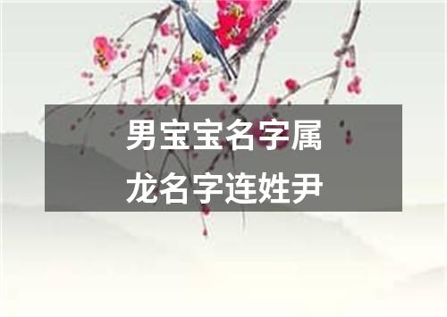 男宝宝名字属龙名字连姓尹