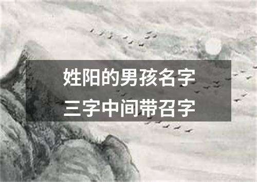 姓阳的男孩名字三字中间带召字