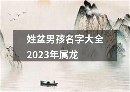 姓盆男孩名字大全2023年属龙