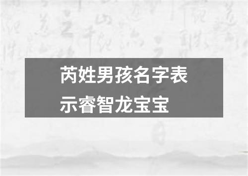 芮姓男孩名字表示睿智龙宝宝