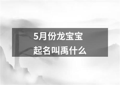 5月份龙宝宝起名叫禹什么