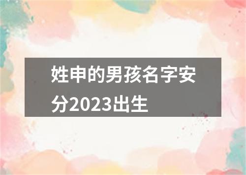 姓申的男孩名字安分2023出生