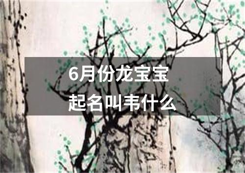 6月份龙宝宝起名叫韦什么