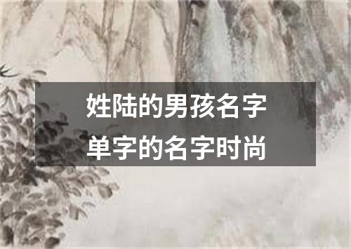 姓陆的男孩名字单字的名字时尚