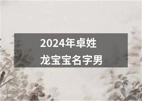 2024年卓姓龙宝宝名字男