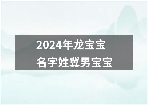 2024年龙宝宝名字姓冀男宝宝