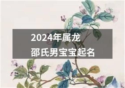 2024年属龙邵氏男宝宝起名