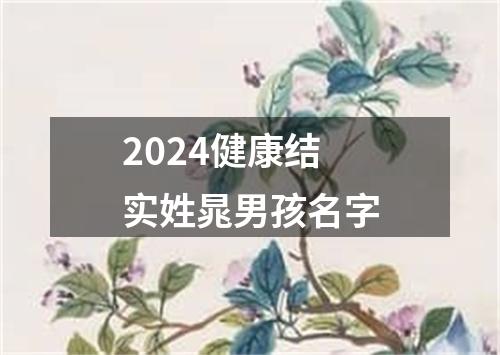 2024健康结实姓晁男孩名字