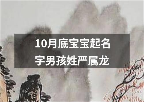 10月底宝宝起名字男孩姓严属龙