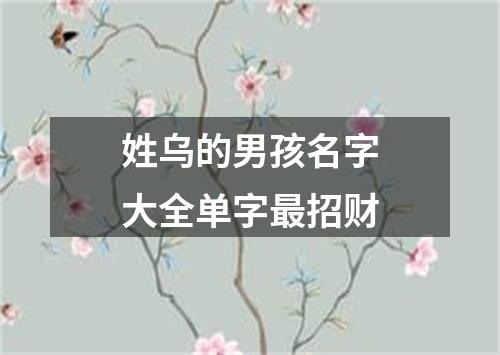 姓乌的男孩名字大全单字最招财